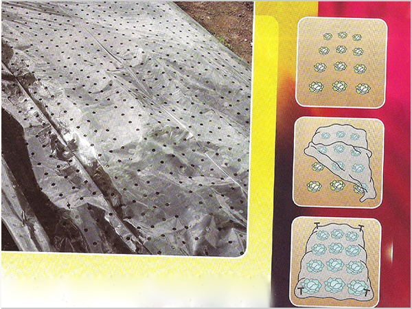 透氣薄膜-塑料地膜_看圖王.jpg 透氣薄膜-塑料地膜_看圖王.jpg